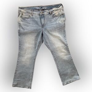 Torrid Bootcut Jeans in Soft Gray